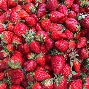 strawberrys_square